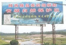 陕西陇县秦岭细鳞鲑自然保护区