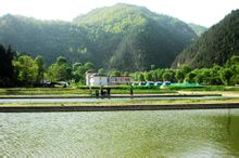 陕西陇县秦岭细鳞鲑自然保护区