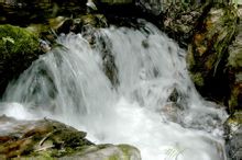 陇县秦岭细鳞鲑自然保护区