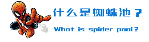 宝鸡做网站公司：详解蜘蛛池的外推方法与技巧